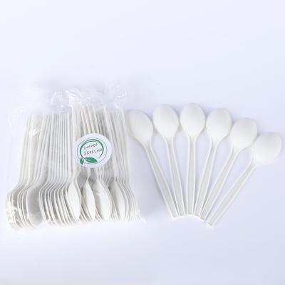 China Sustainable Reusable Biodegradable Plastic Ice Cream Spoon Knife And Fork Set for sale