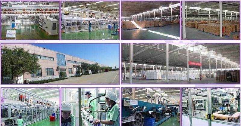 Verified China supplier - Tianjin Wholesome Hygiene Products Co.,Ltd.