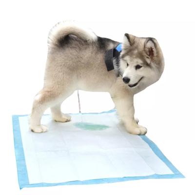 China Pet Potty Training Pads For Dogs Disposable Pet Urinal Pad with Dry Surface Absorbency for sale