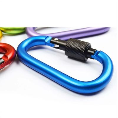 China CHENHAO Metal Camping Climbing Increasing Security Key Chain D-ring Lock Key Aluminum Carabiner for sale