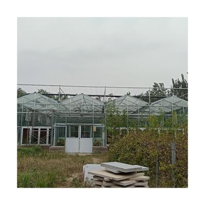 China Hot Sale Multispan System Glass Hydroponic Agricultural Greenhouse Unique Design Glass House for sale