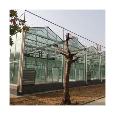 China Factory Direct Sales Venlo Glass Efficient Smart Controller Tempered Fiberglass Greenhouse System for sale