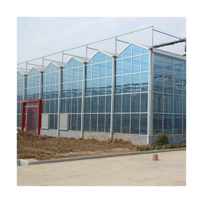 China Efficient Venlo Glass Fish And Plant Symbiotic System Tempered Multi-span Glass Greenhouse for sale