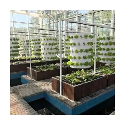 China Commercial Fish and Plant Garden Multi-span Symbiotic System Tempered Glass Glass Greenhouses for sale