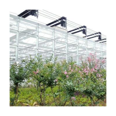 China Hot Selling Cheap Custom Multispan Glass Perspex Roof Glass Greenhouse Glass Planting Price for sale