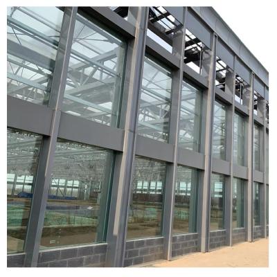 China Hot Galvanized Mushroom Tomato Sun Panel PC Sheet Frame Agriculture Factory Direct Cheapest Greenhouse for sale