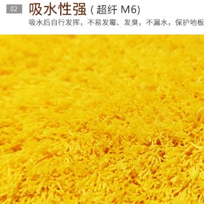 China Anti-bacteria the exterior front entrance mat entrance cover design of anti slip dust removal shuggy carpet carpet for sale