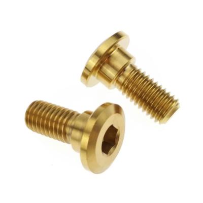 China Yamaha Titanium Titanium Screws For Brake Disc Fastener M6 Threads Gold Oxide Finish for sale