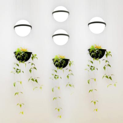 China Simple Farmhouse Indoor Factory Chandelier Office Decorative Greenhouse Living Led Lighting Creative Factory Design New Pendant Light Lamp for sale