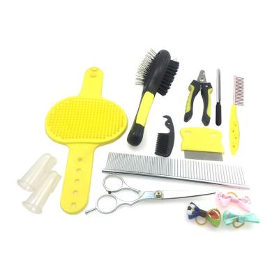 China Sustainable Pet Grooming Set 6pcs Deluxe Dog Brush Kit, Stainless Steel Comb and Silicone Brush for Dogs and Cats for sale