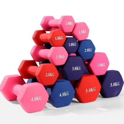 China Durable Wholesale Colorful Gym Dumbbell Set Home Dumbbell Set On Sale for sale