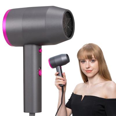 China Other Hot New Design Constant Temperature Blow Salon Smart AC Motor Airbrush Hair Dryer with 2 Nozzles Fan for sale