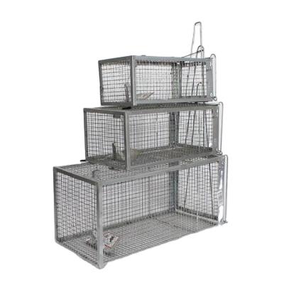 China Live Multi Catch Wire Mesh Live Metal Mouse Humane Rat Cage Animal Trap Cage In All Sizes for sale