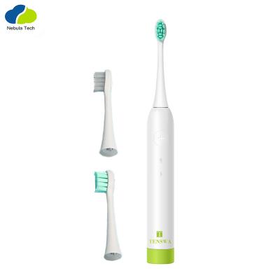 China PC+TPE+DuPont Bristle Private Label Electric Toothbrush USB Support Customized Rechargeable Smart Electric Toothbrush for sale