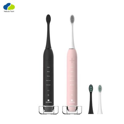 China 2021 Battery Powered Hot Sale OEM Waterproof Whitening Sonic Electric Toothbrush For Adult for sale