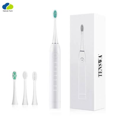 China OEM Battery Operated Portable Oral Care Ultrasonic Waterproof Adult Electric Toothbrush for sale