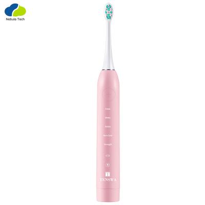 China Adult Classic Super Soft Bristle Battery Operated For Tooth Cleaning Adult Electric Toothbrush for sale