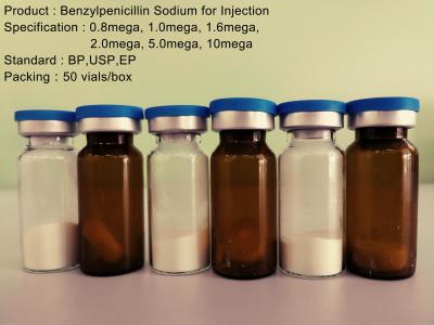 China Benzylpenicillin Sodium Injection , Penicillin G Benzathine Injection for sale