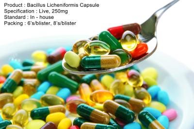 China Bacillus Licheniformis Capsule Live, 250mg Oral Medications for sale