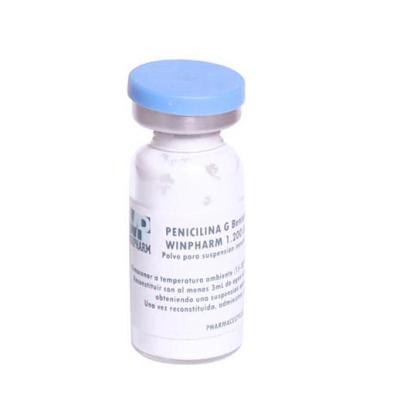 China Substance Derived Dry Powder Injection Benzathine Benzylpenicillin Injection  for sale