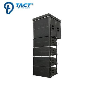 China Professional PA System Concerts Indoor Church 8 Inch Subwoofer Line Dual Array for sale