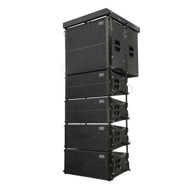 China Traveling High Quality 10 Inch Performance Double Line Array Speaker Box for sale