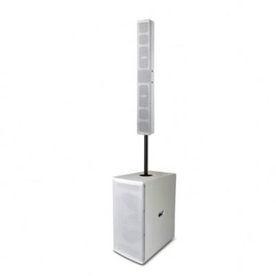 China PA Speaker Hot Selling Best Amplified Column Speaker for sale