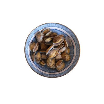 China Factory Supplier FROZEN Short Neck Clam Export Seafood Price Fresh Cooked Baby Clam for sale