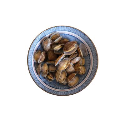 China Supplier Delicious 100% FROZEN Baby Seafood Baby Wholesale Fresh Frozen Clams Export and Factory Healthy for sale