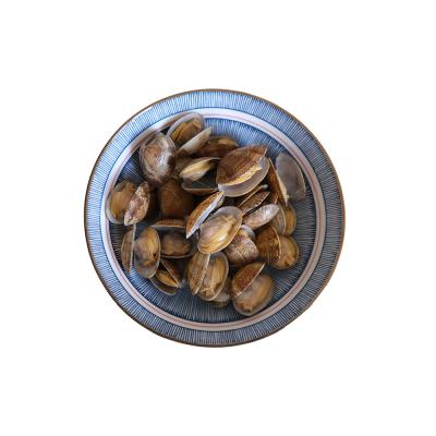 China Real Clams Good Hot Selling Tasty JELLY Shell Seafood Frozen Boiled Fresh Baby Clam for sale