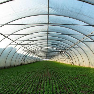 China Greenhouse Seedling Growing Greenhouse Chinese Agricultural Greenhouses Plastic Greenhouses For Sale for sale