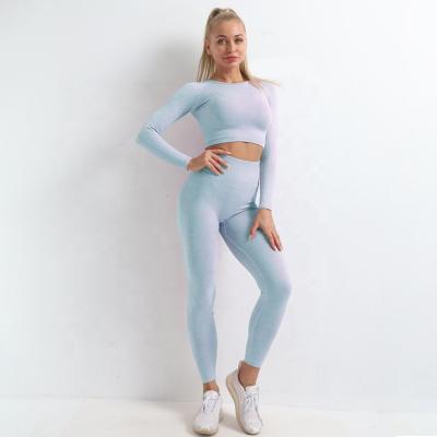 China Women's Yoga Suit Breathable Sports Suits Long Sleeve Bottoming Pants Sportswear Seamless Sportswear for sale