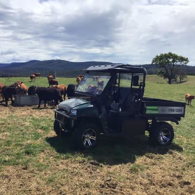 China FARMBOSS 1200 Diesel Utv 4wd 2 Years Warranty Farm UTV Front 26*9-14 for sale