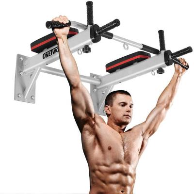 China Wellshow Multifunctional Home Sport Exercise Wall Mounted Pull Up Chin Up Training Bar Dip Station Support Bar Provides Grommets Wall Mount for sale