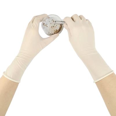 China Wholesale China Surgical Operation Rubber 9 Size 6 Powder Free Latex Surgical Gloves for sale