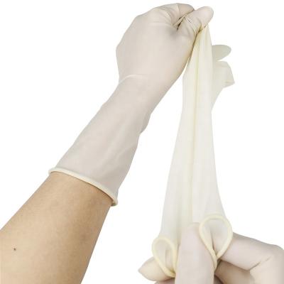 China Surgical Operation OEM Rubber Tips Non Powder Free Gynecological Surgical Gloves for sale