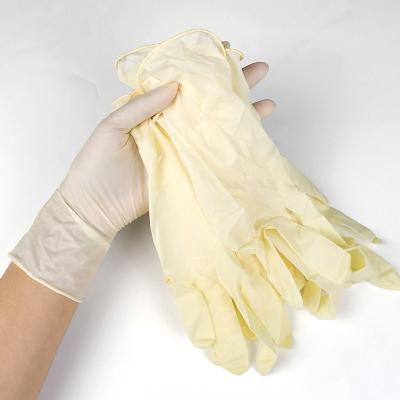 China Wholesale Factory Price Medical Examination Cooking Non Sterile Extra Long Rubber Examination Latex Gloves With Best Quality for sale