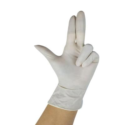 China Medical Exam Made Rubber Arm Length Powder Free Examination Latex Gloves With Factory Price for sale