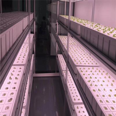 China Hydroponic Growing System Hydroponic Growing System Greens Greenhouse Leafy Vertical for sale