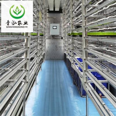 China Grow hydroponic automatic hydroponic fodder machine barley system fodder seedling hydroponic container for sale