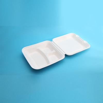 China Customizable Fruit Clamshell Compostable Compartment Disposable Lunch Box For Kids for sale