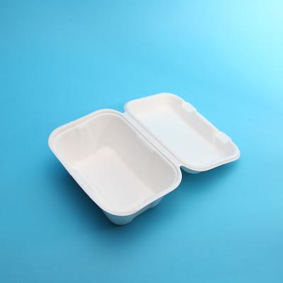 China Food Bagasse 600ml Clamshell Biodegradable Food Container for sale