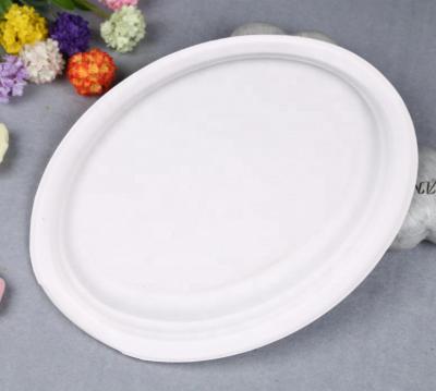 China Modern 12 inch high quality cheap biodegradable disposable oval dinner dishes for restaurant catering party for sale