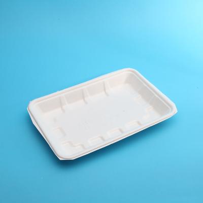 China Modern Compostable Disposable Sugarcane Fruit Vegetable Meat Tray for sale