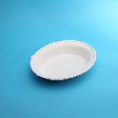 China Wholesale Disposable Food Plant Boxes Food Bowl Biodegradable Compostable Paper for sale