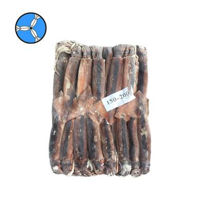 China Nutritious SANFENG SEAFOOD Squid Illex Frozen Squid for sale