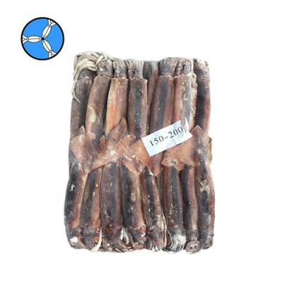 China SANFENG Argentina Nutritious SEAFOOD frozen squid illex squid for export for sale