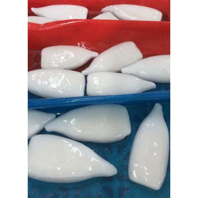 China NATURE SANFENG SEAFOOD squid bulk frozen tube for export for sale