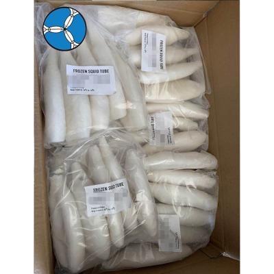 China NATURE SANFENG Peru SEAFOOD Calamari Frozen Squid Tube with Competitive Price for sale