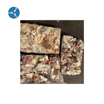 China Good FROZEN Seafood BQF Peru Frozen Squid Neck Price For Sale for sale